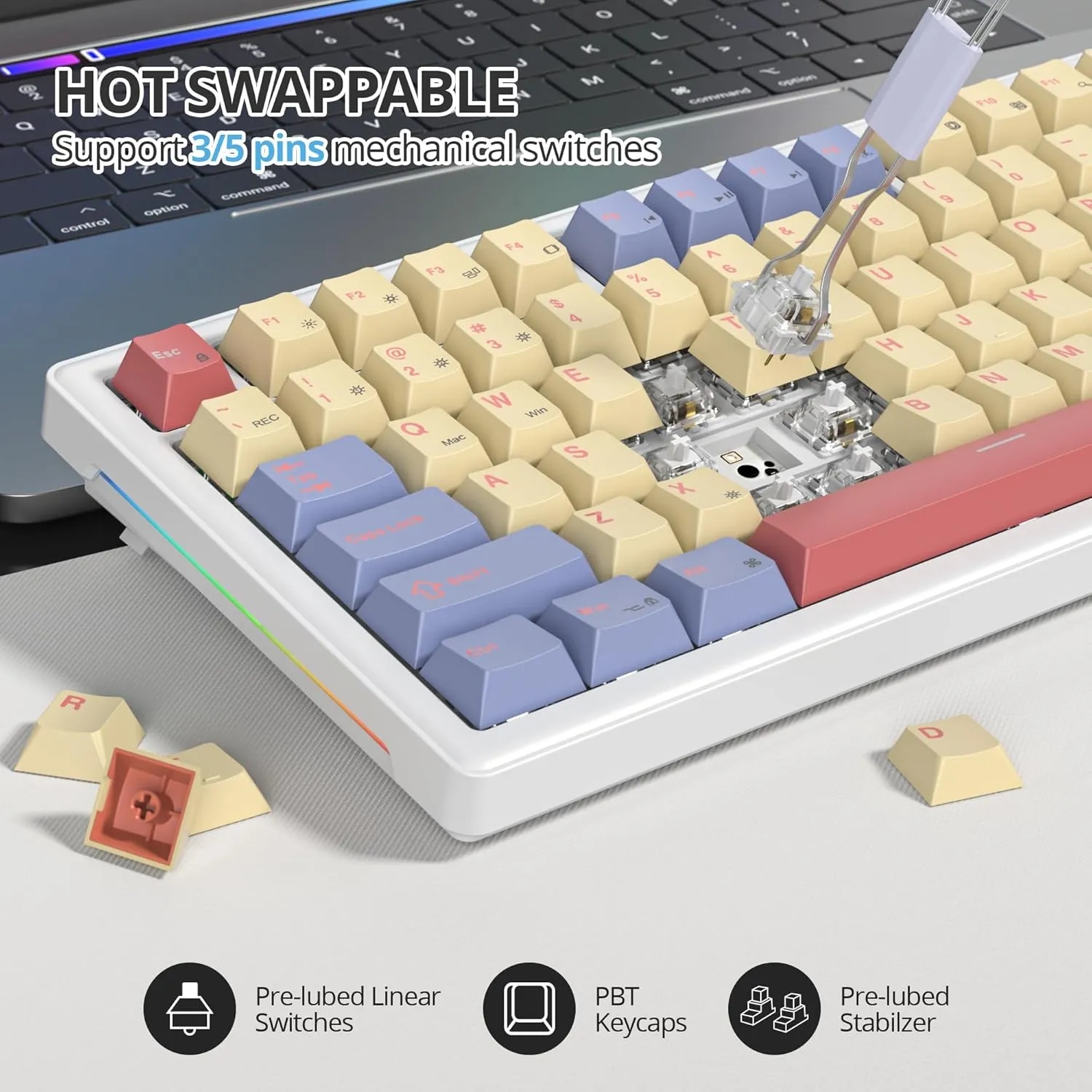 75% Mechanical Keyboard Gasket with Knob, Custom Wired Creamy Gaming Keyboard TKL 75 Percent Hot Swappable RGB Backlit, Pre-lubed Switch for Win/MAC PC LaptopCotton Candy/White Switch