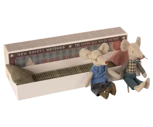 Grandma & Grandpa Mice in Matchbox